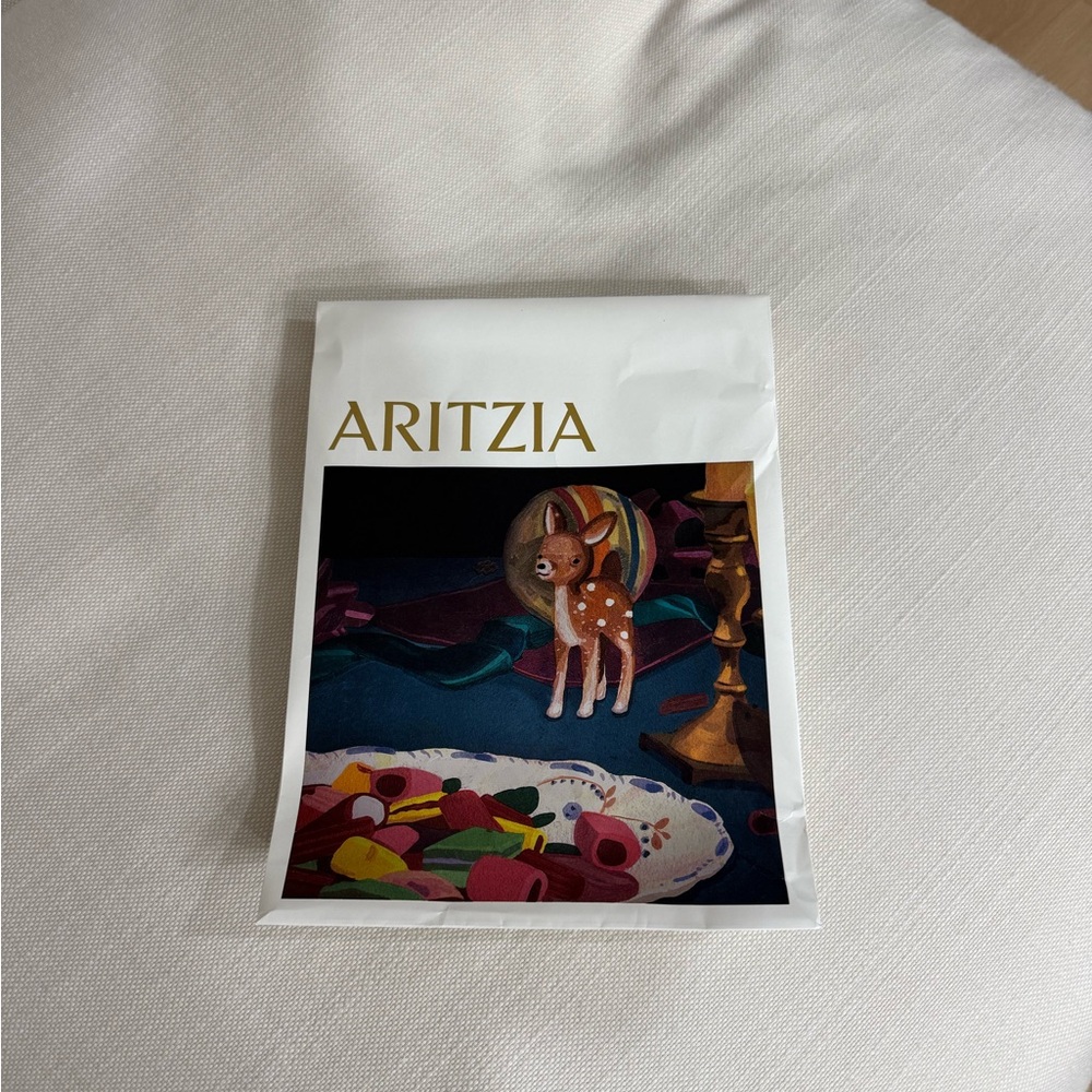 Aritzia small gift bag